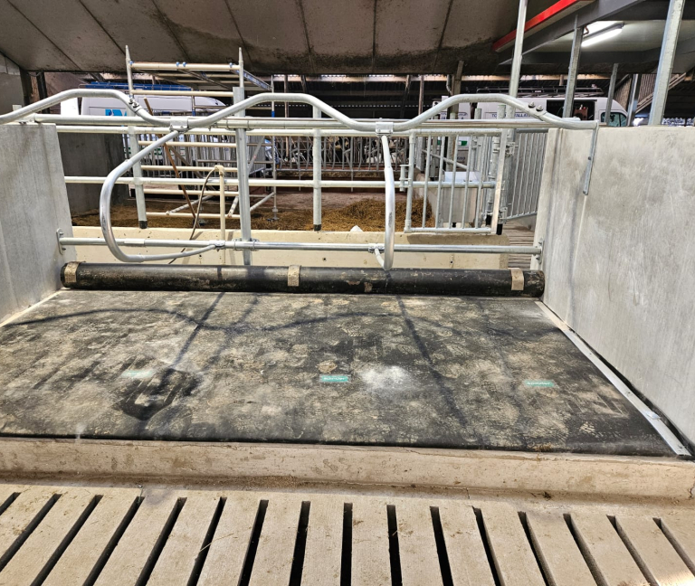 WhatsApp Image 2026-02-05 at 14.29.23 (4)