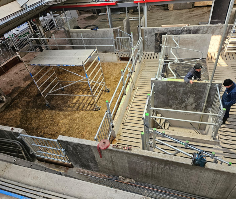 WhatsApp Image 2026-02-05 at 14.29.23