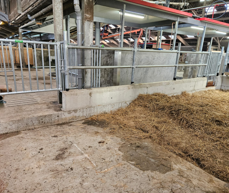 WhatsApp Image 2026-02-05 at 14.29.24 (2)