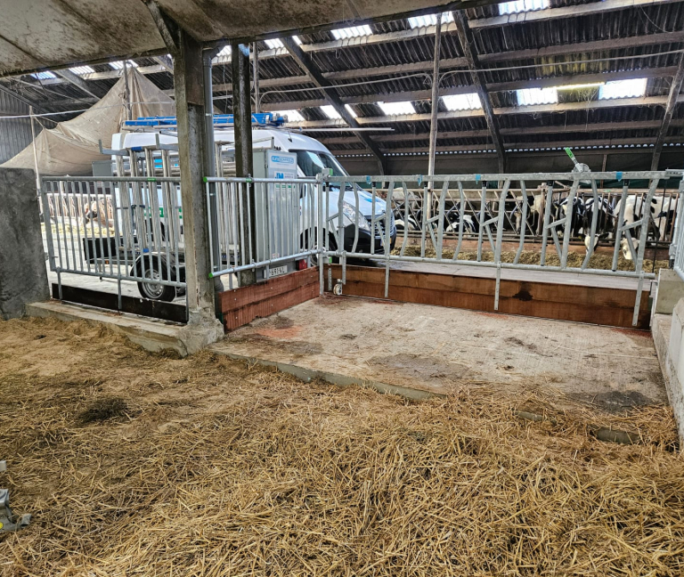 WhatsApp Image 2026-02-05 at 14.29.24 (3)