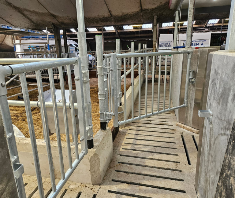 WhatsApp Image 2026-02-05 at 14.29.24