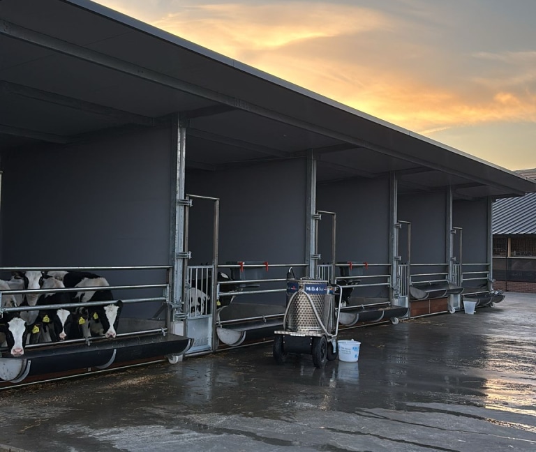 WhatsApp Image 2026-03-02 at 14.11.48 (1)