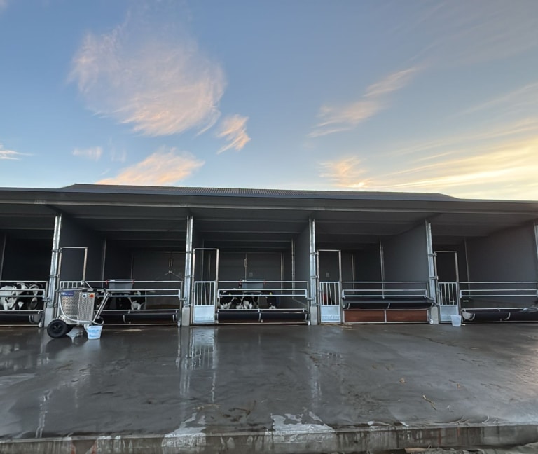 WhatsApp Image 2026-03-02 at 14.11.48