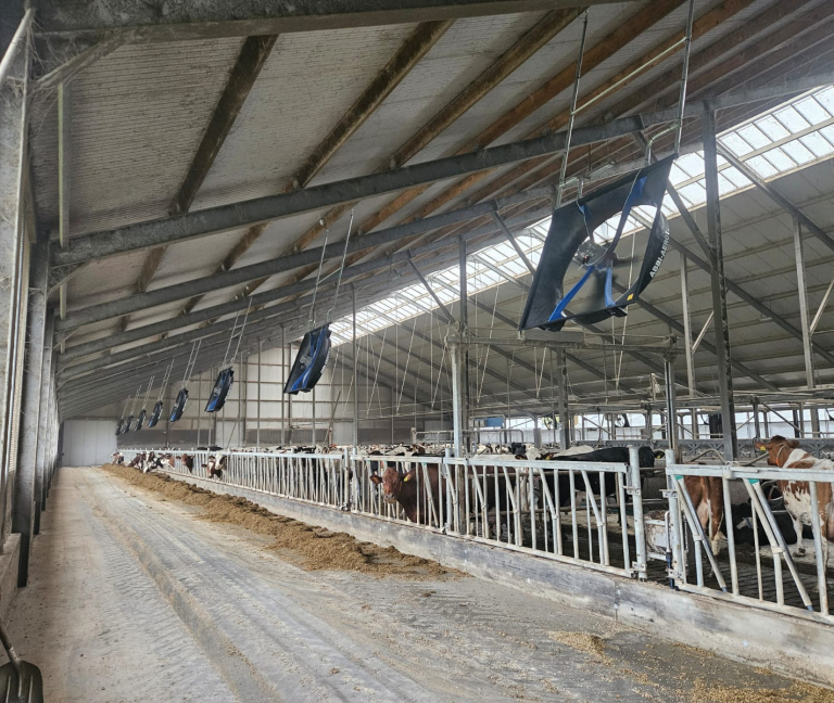 WhatsApp Image 2026-03-12 at 14.45.22 (3)