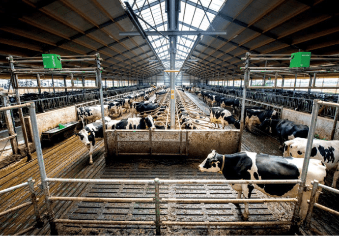 autolift_690x480_acf_cropped