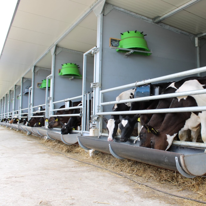 image00041_690x690_acf_cropped