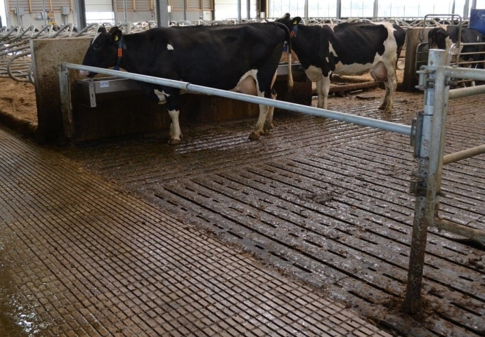 slagboom5_690x480_acf_cropped_690x480_acf_cropped